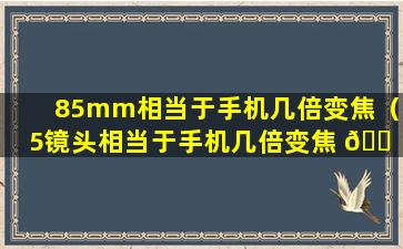 85mm相当于手机几倍变焦（85镜头相当于手机几倍变焦 🐠 ）